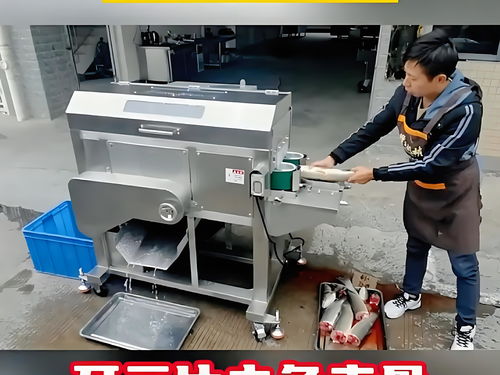 魚類加工設備與木竹材加工機械 跨界科技賦能產業升級