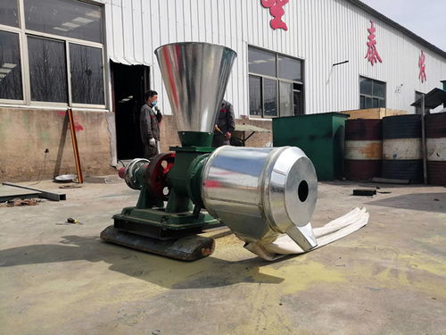 家用小型雜糧磨面機 現代廚房的匠心之選