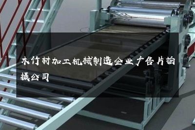 智造未來(lái)，共筑綠色家園——專業(yè)木竹材加工機(jī)械制造企業(yè)廣告片拍攝服務(wù)